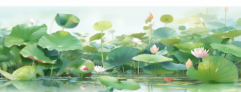 绿色荷叶和粉色盛开的荷花插画,插画/手绘图,插画/手绘图库,插画/手绘图下载,插画/手绘